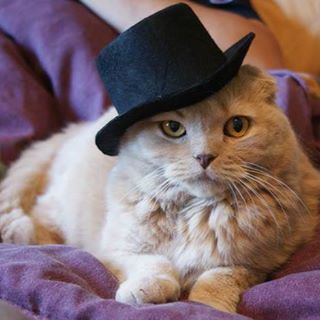 Aydrian Lyall - Facebook Profile Picture of Aydrian Lyall (@Aydrian-Lyall) on Facebook