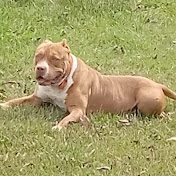 Profile Picture of Eric Falls (@EricFalls-kw8qd) on Youtube