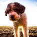 Profile Picture of Basil Cox (@basil.cox.1) on Facebook