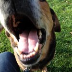 Profile Picture of Jonathan Dennis (@jondennisphoto) on Instagram