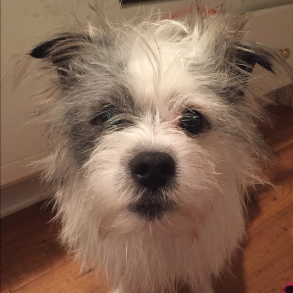 Profile Picture of Devin Watson (@devine_lady) on Poshmark