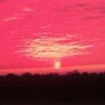 Profile Picture of Stuart Nielsen (@nielsenstuart) on Instagram