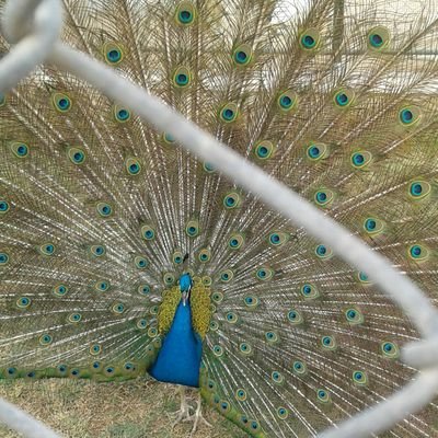 Profile Picture of Ng Ng (@NgNg05827430) on Twitter