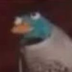 Profile Picture of quinn doyle (@quinndoyle01) on Instagram