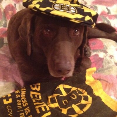 Profile Picture of Scott Govoni (@sgovoni) on Twitter