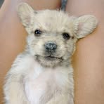 Profile Picture of Madison Hernández (@madison.hernandez.266820) on Facebook