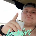 Profile Picture of Thomas Wheeler (@thomaswheeler53) on Instagram