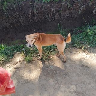 Profile Picture of Benard Chege (@benard.chege.1612) on Facebook