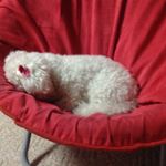 Profile Picture of Jessepetty (@jesse.petty) on Instagram