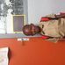 Profile Picture of Adebi Dobe Jeremie (@Adebi-Dobe-Jeremie) on Facebook