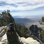 Profile Picture of alex giannakopoulos (@alex_gia65) on Instagram