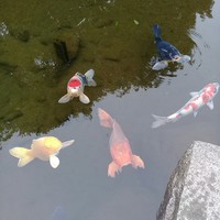 Profile Picture of Arturo Mancilla (@arturo-mancilla-1) on Quora