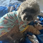 Profile Picture of Peater Mcloon (@Peater-Mcloon) on Facebook