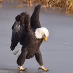 Profile Picture of Fernando Robleto (@Fernando-Robleto) on Facebook