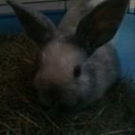 Profile Picture of Erik Tangen (@erik.tang1) on Instagram