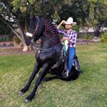 Profile Picture of Alfredo Gonzalez Vazquez (@alfredo_gonzalez_knene) on Instagram