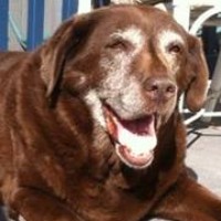 Profile Picture of Vicki Vaughn (@vicki-vaughn) on Quora