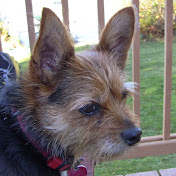 Profile Picture of Ed Donnelly (@eddonnelly4441) on Youtube