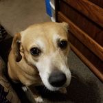 Profile Picture of Harold David Anaya (@dave.navarro.9803) on Instagram