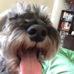 Profile Picture of Ivy (@ivy_bootha_hh) on Instagram