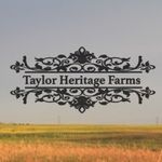 Profile Picture of Chantel Taylor (@taylorheritagefarmshandmade) on Instagram