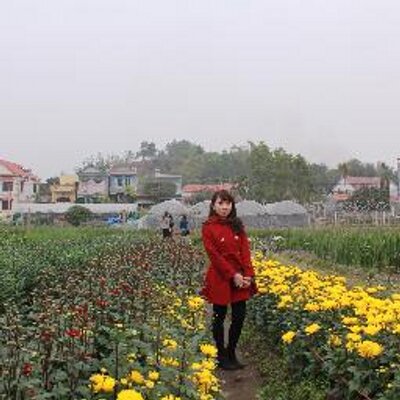 Profile Picture of Nguyet Lee (@0nguyetlee0) on Twitter