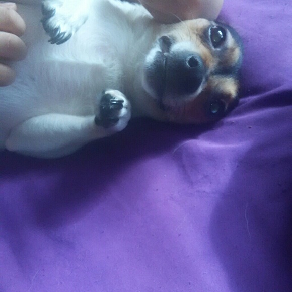 Felicia Tarver - Poshmark Profile Picture of Felicia Tarver (@feemt) on Poshmark