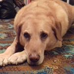 Profile Picture of Edward Rayment (@edward_rayment_11) on Instagram