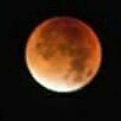 Jennifer Spring - Twitter Profile Picture of Jennifer Spring (@SpringJazzy532) on Twitter