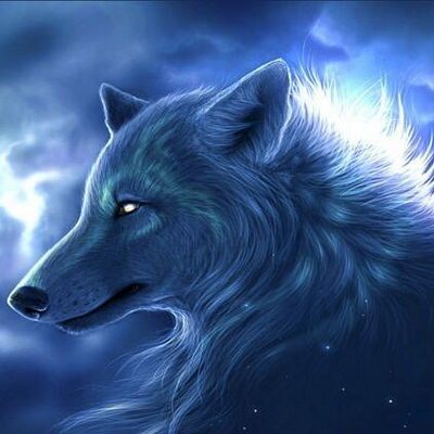 Profile Picture of Family Wolf (@IrvinRico) on Twitter