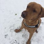 Profile Picture of lucas_sanderson_2 (@lucas_sanderson_2) on Instagram