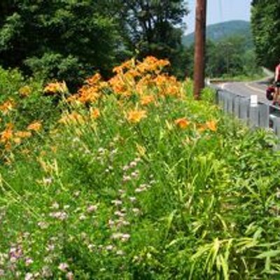 Steve Ashurst - Twitter Profile Picture of Steve Ashurst (@makeitbikeable) on Twitter