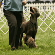 Profile Picture of Dawn Nagata (@dawnnagata41) on Youtube