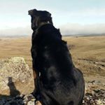 Profile Picture of sinou (@sandrine_bastardis) on Instagram