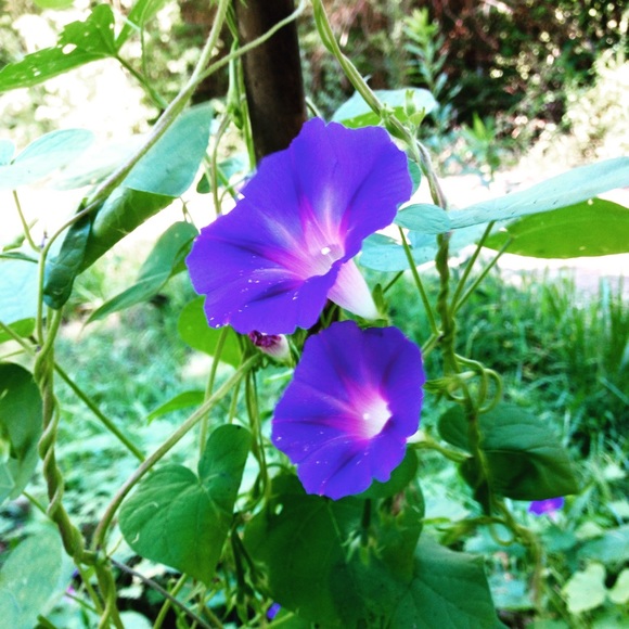 Profile Picture of Jessica Leeth (@jesika231) on Poshmark