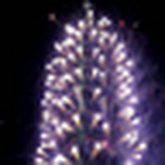 Profile Picture of alex CHENG (@ALEX SKIFFING) on Flickr