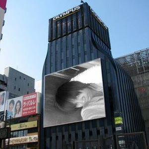 Profile Picture of Lori-Anne Honey-Rose (@LowlaLambly) on Twitter