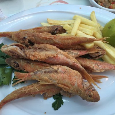 Profile Picture of Isaac Ash (@IsaacAsh6) on Twitter