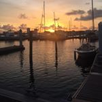 Profile Picture of Shelli Brian Hayes (@shellibrianhayes) on Instagram