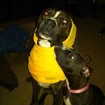 Audrey Gifford - Instagram Profile Picture of Audrey Gifford (@audreygifford) on Instagram