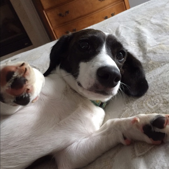 Profile Picture of Joe Gouveia (@theclique) on Poshmark