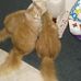 Profile Picture of Janet Tower (@janet.tower.104) on Facebook