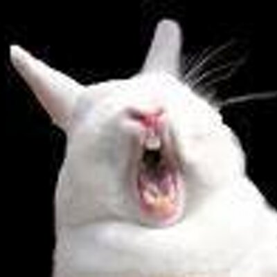 Pamela Short - Twitter Profile Picture of Pamela Short (@pamtramck) on Twitter