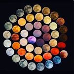 Profile Picture of Gregory Halkers (@gregory.halkers) on Instagram