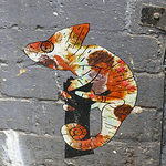 Profile Picture of Joshua Rogers (@MegaManSec) on Flickr