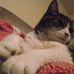 Profile Picture of Allie Pawlitschek (@allie.pawlitschek) on Facebook