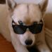 Profile Picture of Chris Bowler (@chris.bowler.779) on Facebook