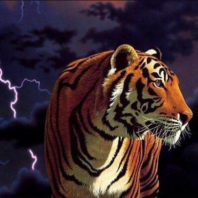 Profile Picture of Bill Pafford (@@wilbp1) on Twitter