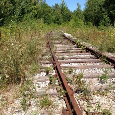 Profile Picture of Brian Salsman (@hfx_cheer) on Twitter