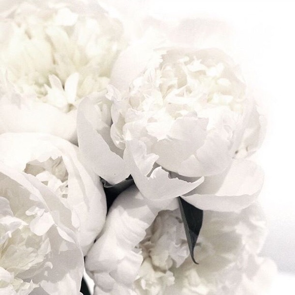 Profile Picture of Ning Zhang (@ning132) on Poshmark